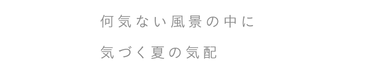 何気ない風景の中に気づく夏の気配